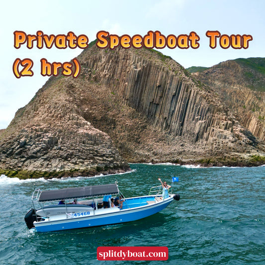 Private Hong Kong Geopark Volcano Sightseeing Tour (Speedboat - 2hrs)